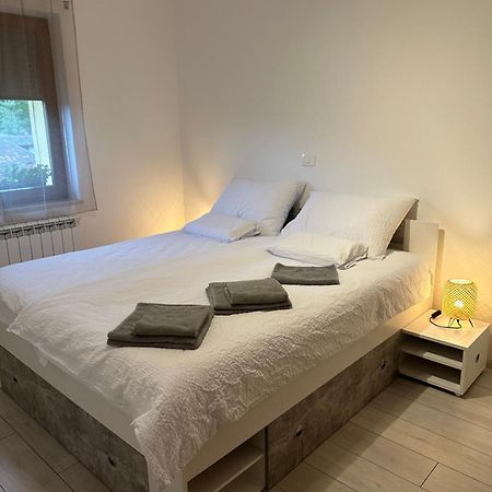 Apartma Anze Samec Dobravlje Εξωτερικό φωτογραφία