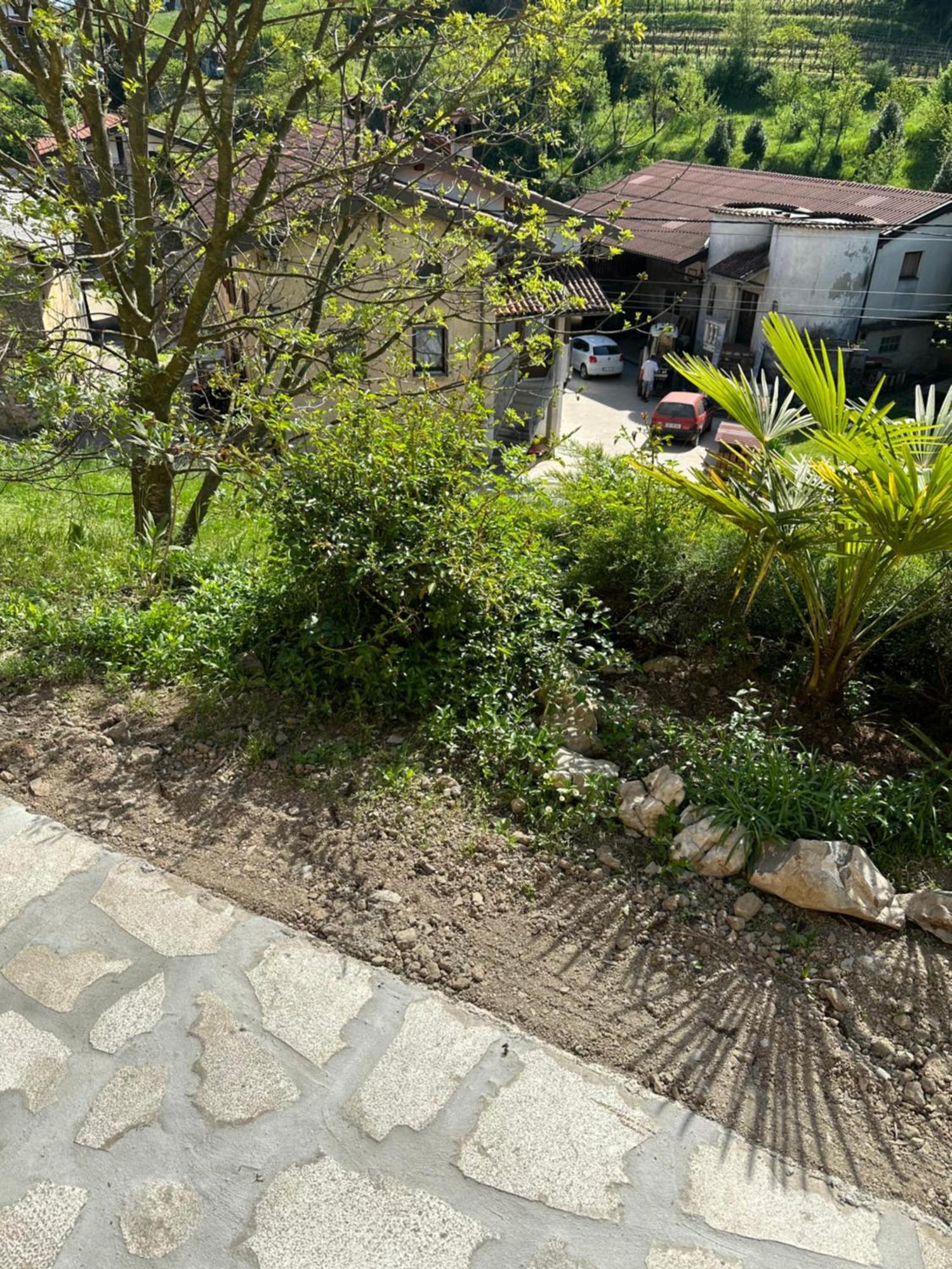 Apartma Anze Samec Dobravlje Εξωτερικό φωτογραφία