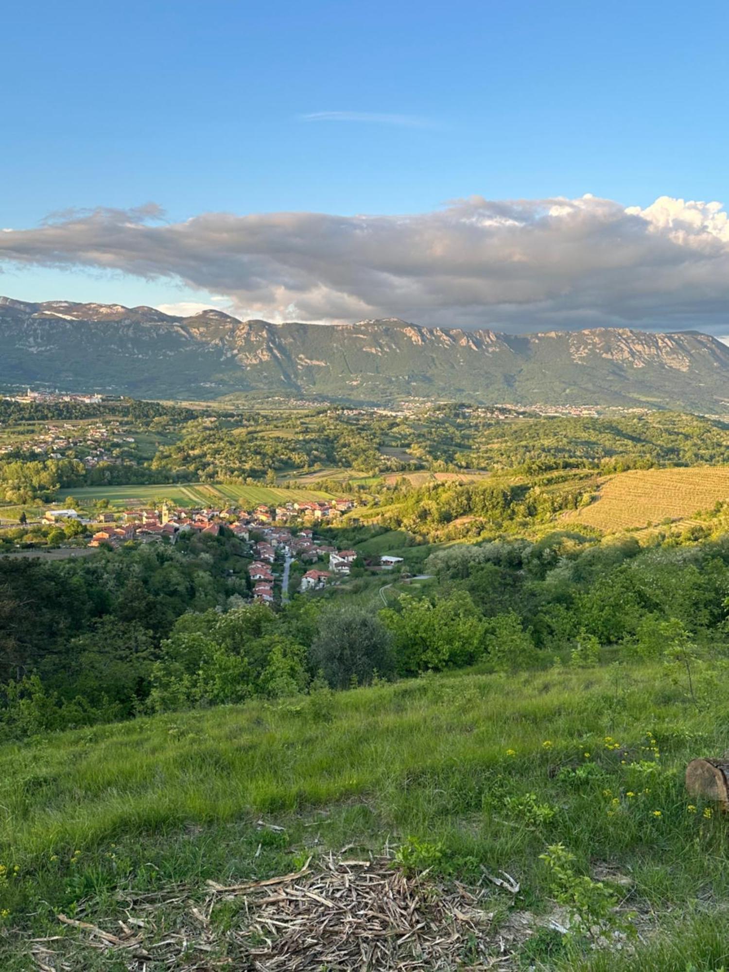 Apartma Anze Samec Dobravlje Εξωτερικό φωτογραφία